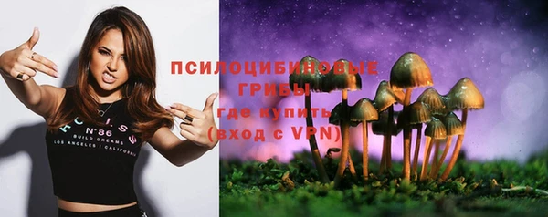 дмт Нефтегорск