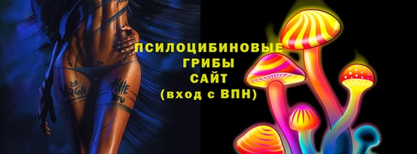 дмт Нефтегорск