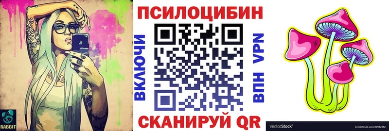 купить наркоту Рыльск Псилоцибиновые грибы Psilocybe